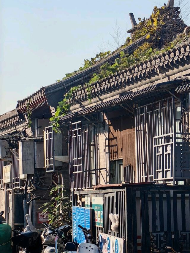 Гайд по Пекину: Аутентичные хутуны,Храм Белой Ступы и аптека Гайд по Пекину: Аутентичные хутуны,Храм Белой Ступы и аптека