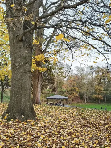 🍃 Phoenix Park – Where History Meets Endless Green 🦌🌿