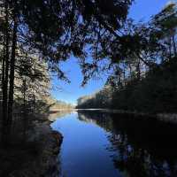 Algonquin Provincial Park