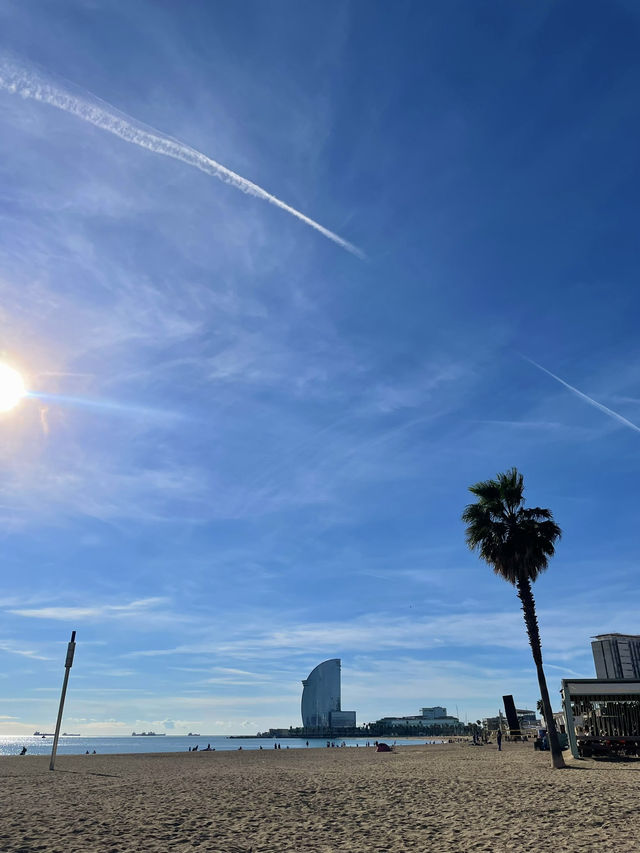 🇪🇸Spain, Barcelona 6日で回る旅行プラン✈️ 🇪🇸Spain, Barcelona 6日で回る旅行プラン✈️