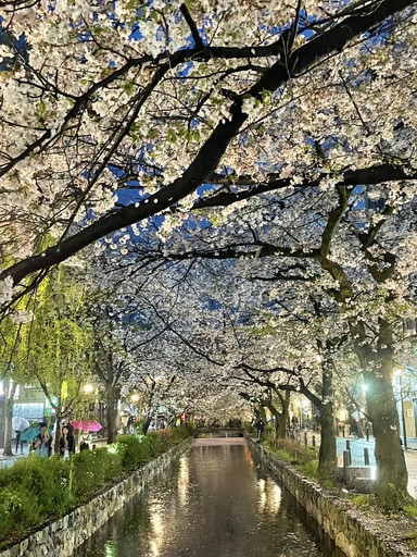 🇯🇵大阪絶景＆観光ガイド🇯🇵Osaka | Trip.com 大阪
