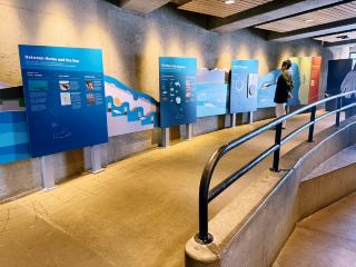 ✈️ FIFA World Cup 2026: Seattle Airport Survival Guide