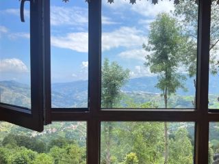在霧毯上行走：特拉布宗 Hıdırnebi Yaylası 迷霧天堂的一天🇹🇷☁️