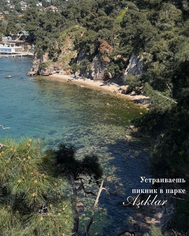 Из Стамбула на Острова на один день