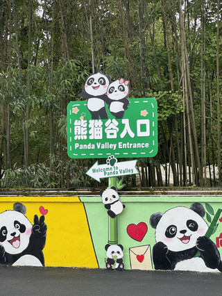 Udara Segar dan Pengalaman Bertemu Panda dari Dekat di Lembah Panda