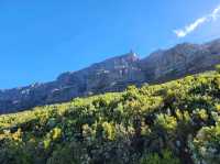 Table Mountain - A World Wonder