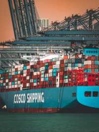 Worlds BUSIEST container port in Hong Kong