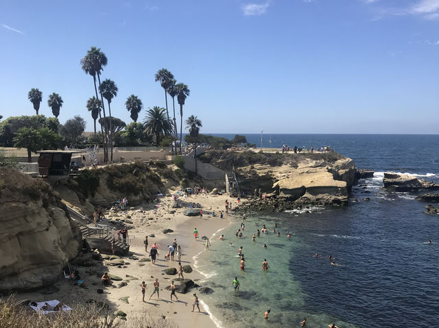 La Jolla | The most beautiful bay in San Diego