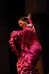 Flamenco, the beautiful and untamed soul.