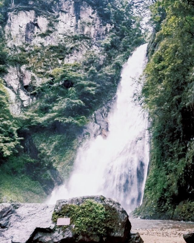 Shennong Valley National Forest Park