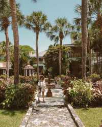 Miami's Tropical Paradise: Return to Eden Roc Miami Beach