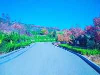 Cishan Mountain Hike 🏞️🚶‍♂️