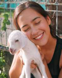 Goats and Adventures in Camiguin 🐐🌴 A Quirky Journey