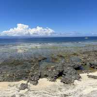 An oasis of tranquility on Green Island