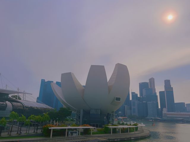 Art Meets Science 🇸🇬 