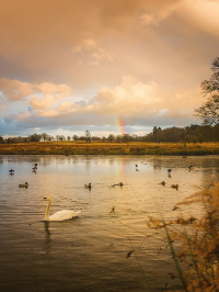 Richmond Park in autumn is the best!