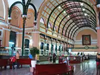 A collection of niche attractions in Vietnam📚