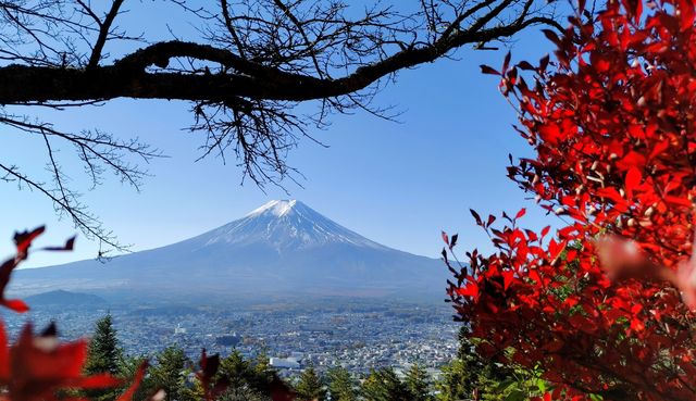 環繞富士山遊覽