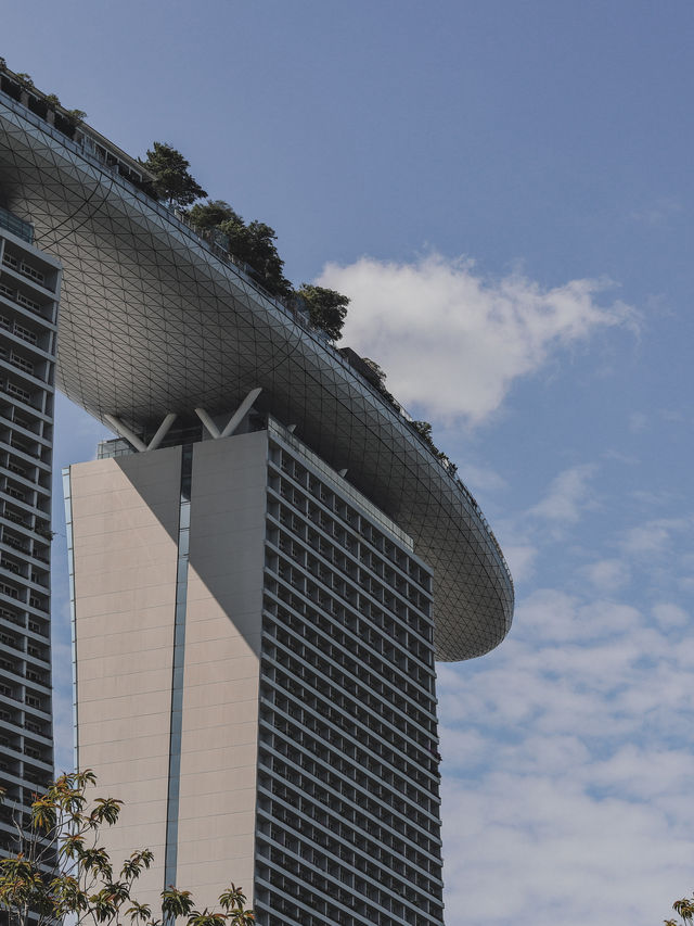 🔍 What to Do at Marina Bay Sands