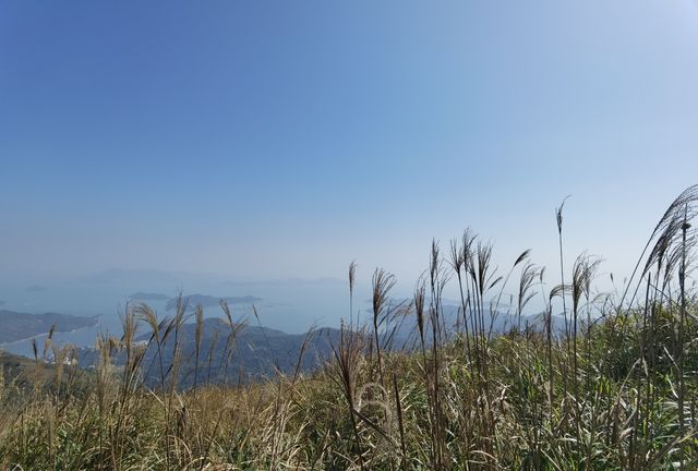 香港行山第十四站—鳳凰徑一段二段