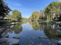 走進千年古樹公園