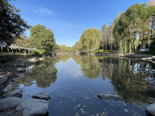 走進千年古樹公園