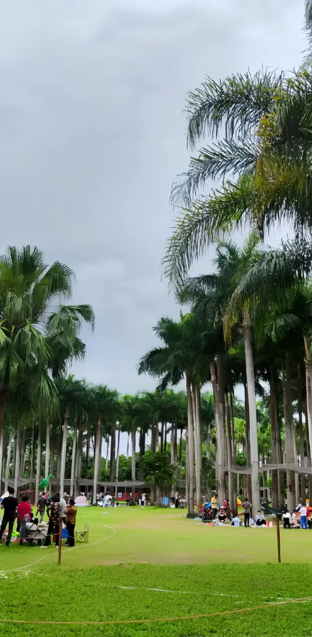 深圳 東湖公園 /野餐生日派對來這