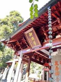 杭州尋秋——徑山寺的寧靜與靈性之旅