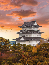 Find Serenity at Odawara Castle 🍵