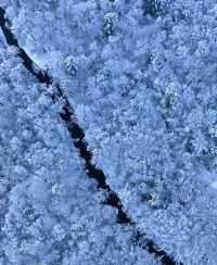 12月旅行，到吉林來看雪