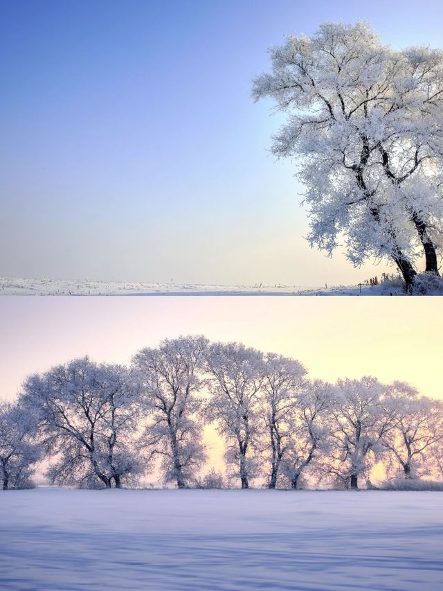 吉林霧凇 晨起觀景赴一場冰雪之約