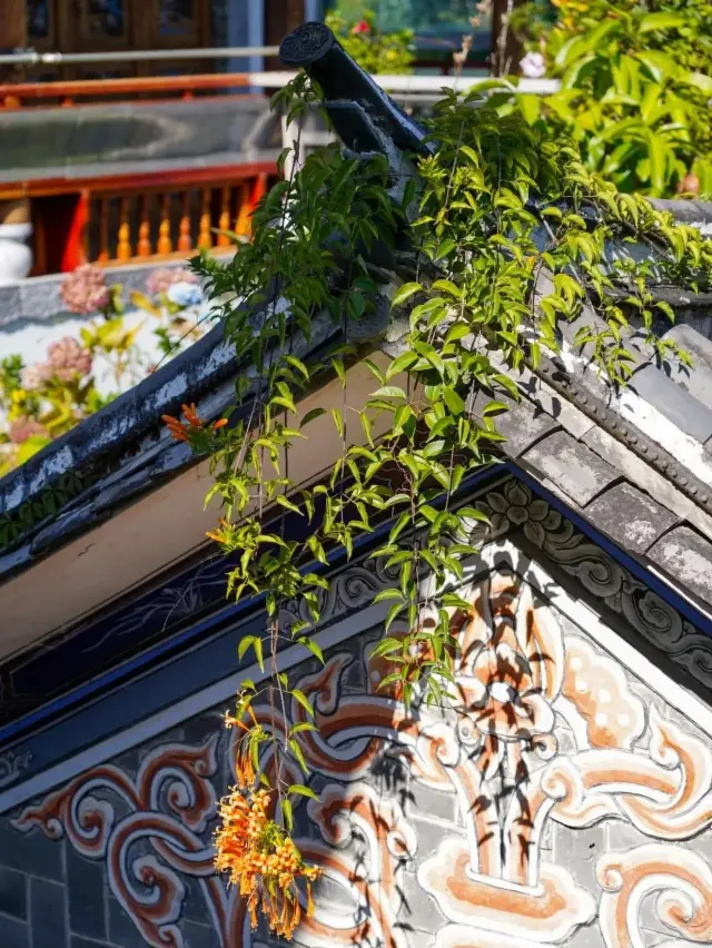 Beside the Cang Er, deer and cranes herald the spring, the Zhang family's garden in Dali is as picturesque as a cloud