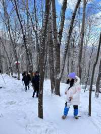 雪鄉、雪谷兩日遊｜雪谷徒步反穿羊草山版