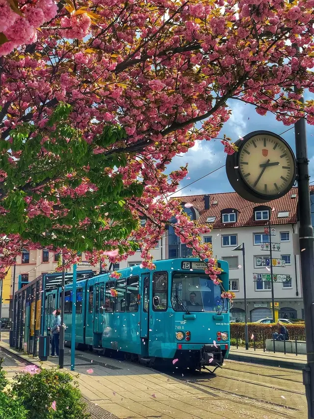 美因河畔歌劇院 德國韻味老陳法蘭克福的打開方式🌉🌆