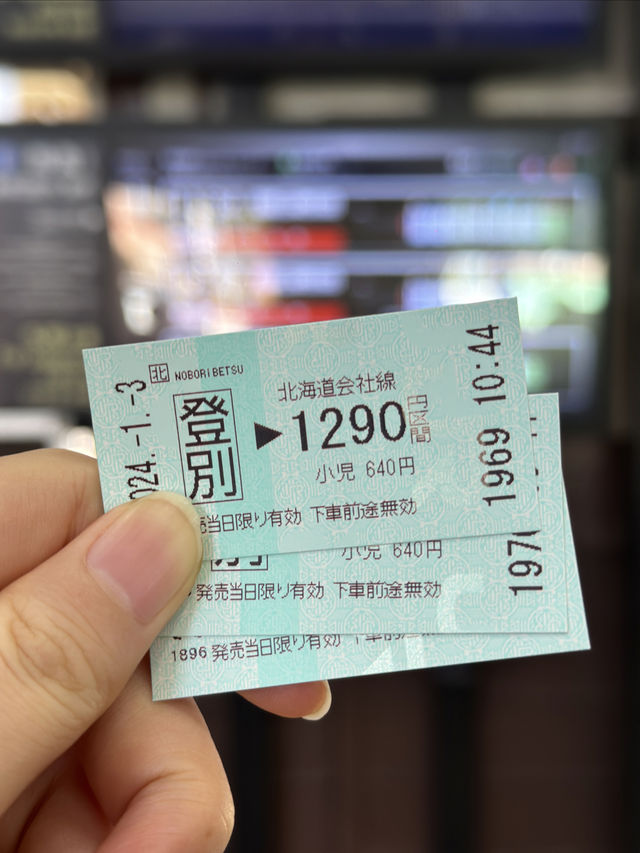 踩坑總結｜一篇搞懂JR PASS，該不該買JR周遊券