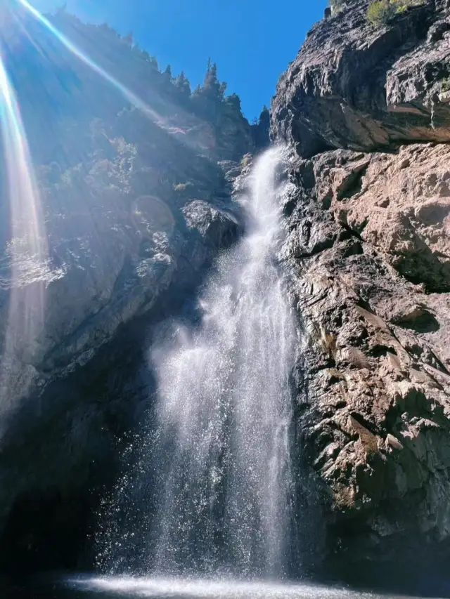 南山牧場