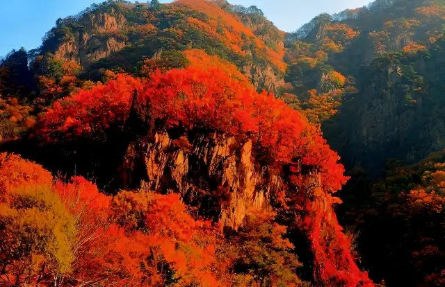 가을에 단풍을 보러 '단풍의 도시'~번시