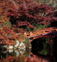 西安青龍寺