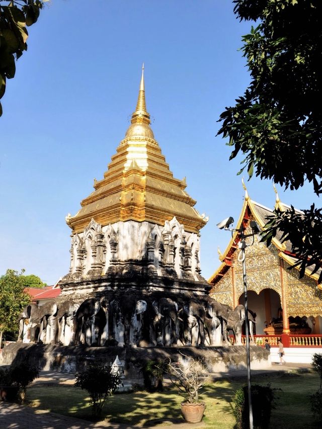 泰國旅遊｜清邁三大必打卡的優美寺院-清曼寺