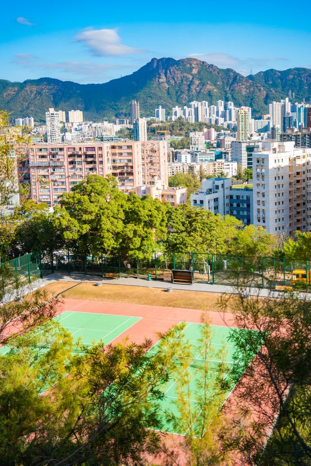 來香港何文田與整個維多利亞港合