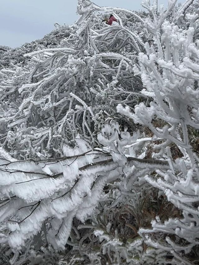 廣西貴港之行 | 平天山霧凇