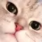 Ward_Debby_65