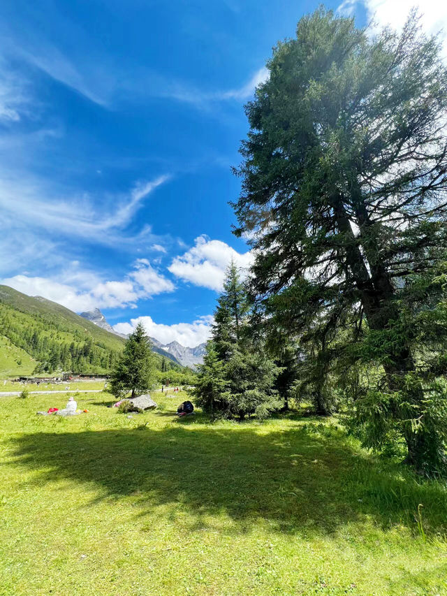 春天還在，已經開始期待四姑娘山的夏天了