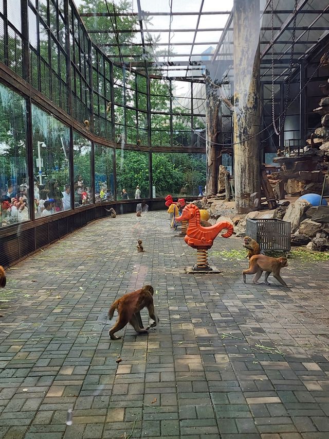 一頓午餐錢就可以逛的北京動物園