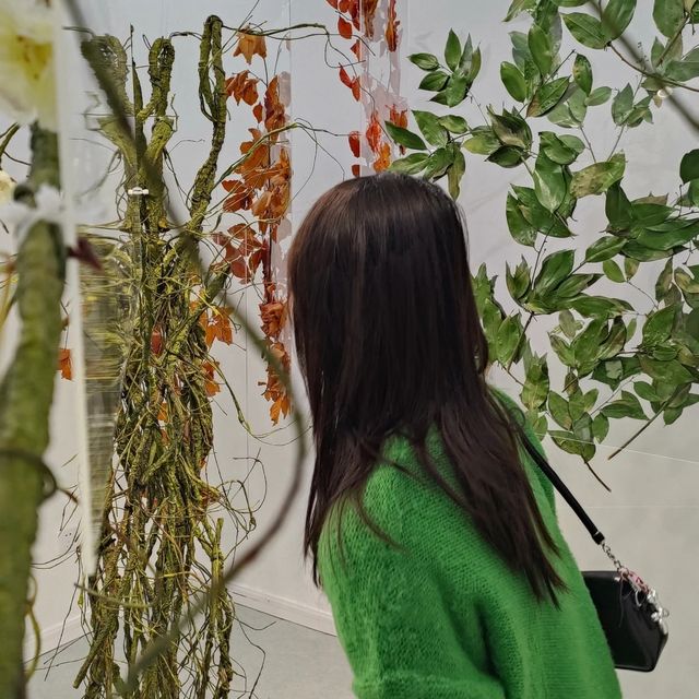 成都免費看展還有兩天我們去拍照吧