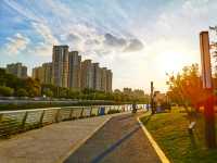 蘇州河畔風景如畫的公園