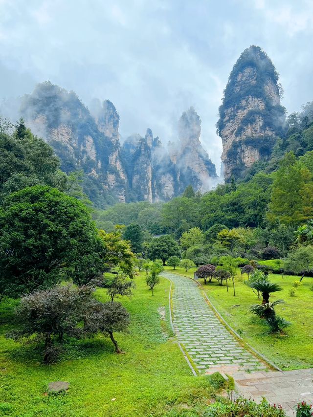 走進張家界國家森林公園，醉了心，養了眼！