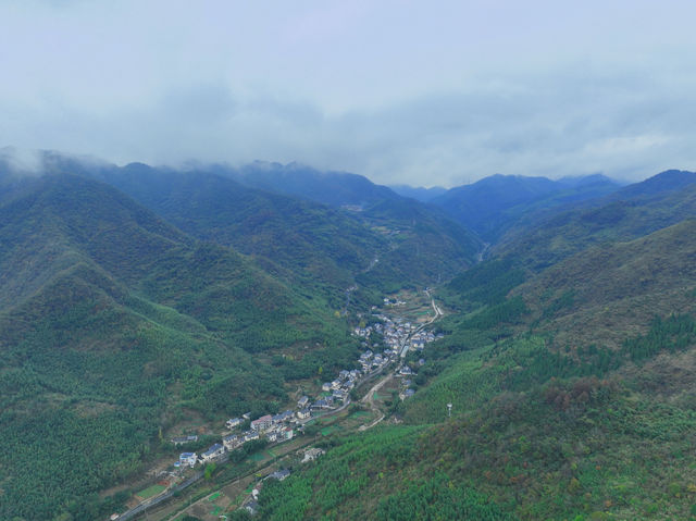 山野遛娃｜享受山林美景、玩創意手作