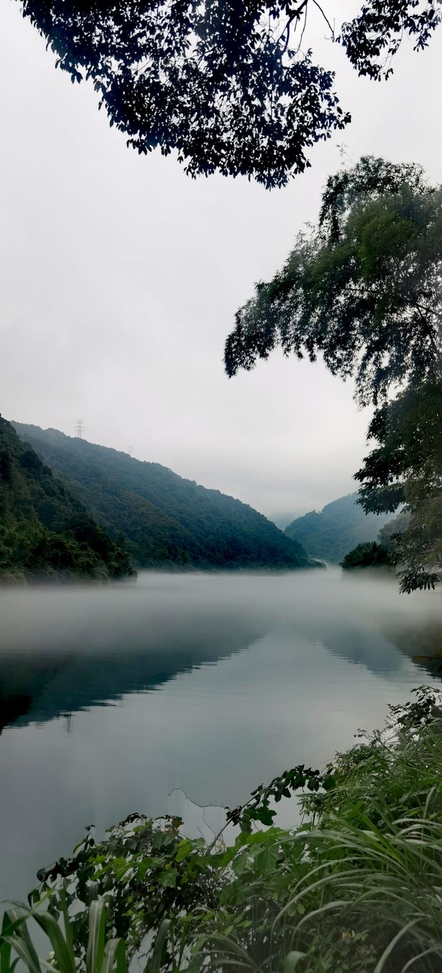 霧漫小東江