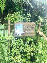 新加坡｜動物園